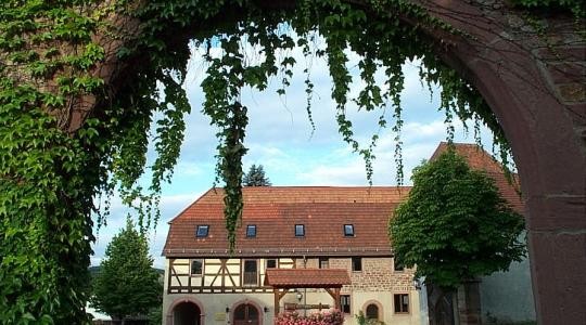 Grünauer Hof, Hochhausen